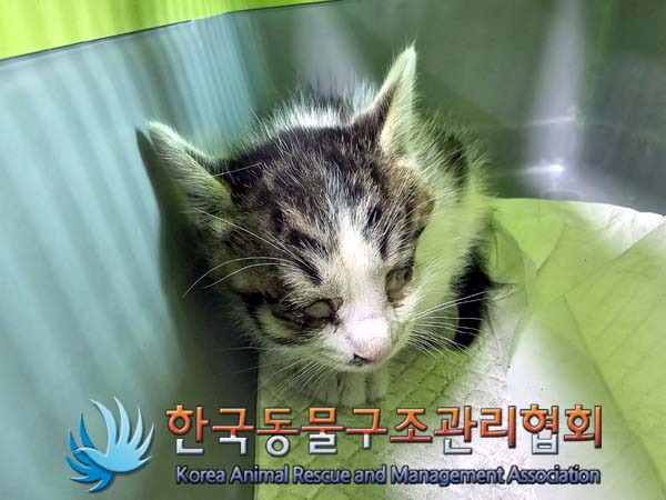 종료(자연사) 한국…